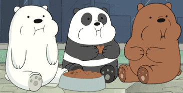 timg22.gif