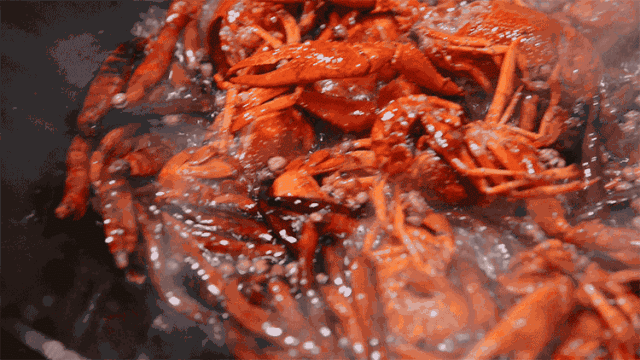 timg (5).gif