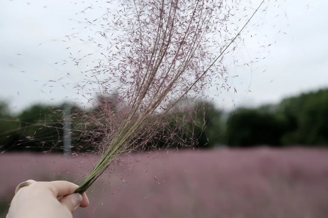 b91f1b1352ce388342cf710afc3f625a.jpg