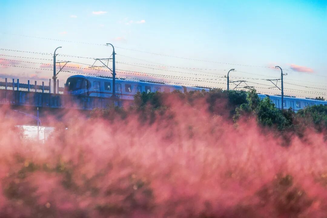 ΢ͼƬ_20251023173703(1).jpg