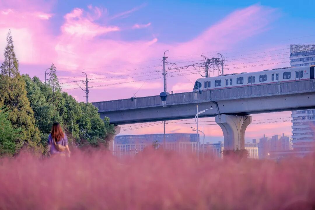 ΢ͼƬ_20251023174548(1).jpg