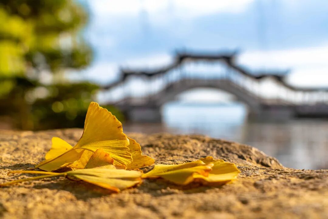 11.28\Ϫ  һy~S@LA.jpg