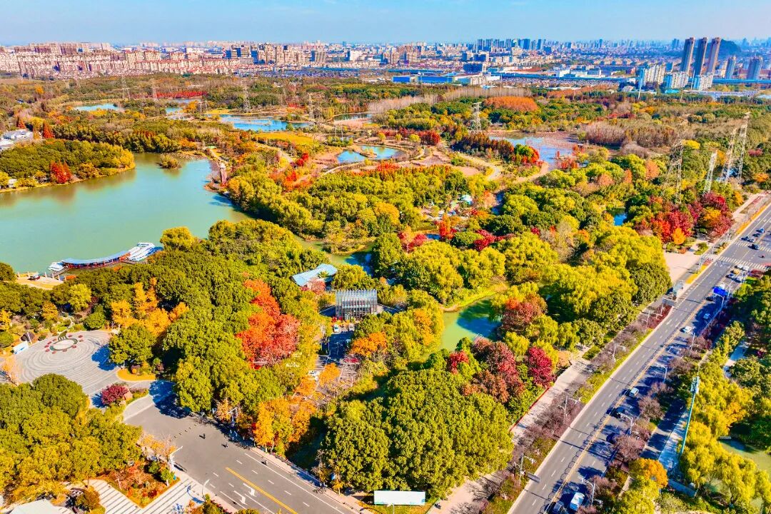 2024��12��12�� Ⱥ�������� ��̬ ������������ Ԭ���� (6) (1).jpg