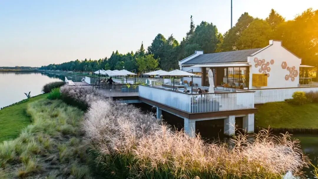 ������ɽ��1000000000������