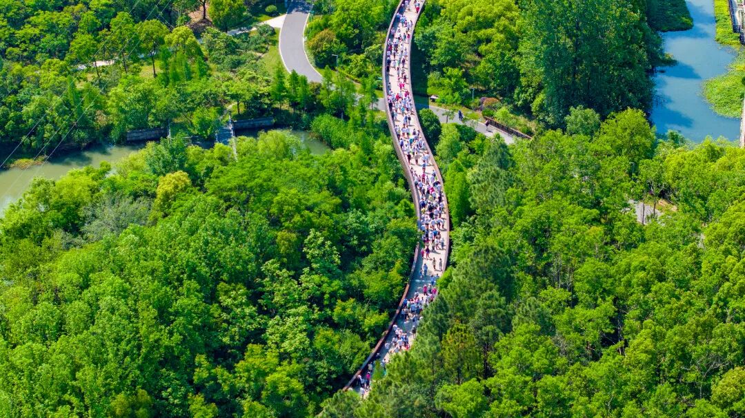 2025��5��11�գ������� ɭ�ֹ�԰ ��ɽ��ʮ��� ͽ����ᣩ��ȼ����ɽͽ�����껪��ȫ�������� ͽ����� ������ ��̬ ��ͨ ˮ�� Ԭ���� (26).jpg