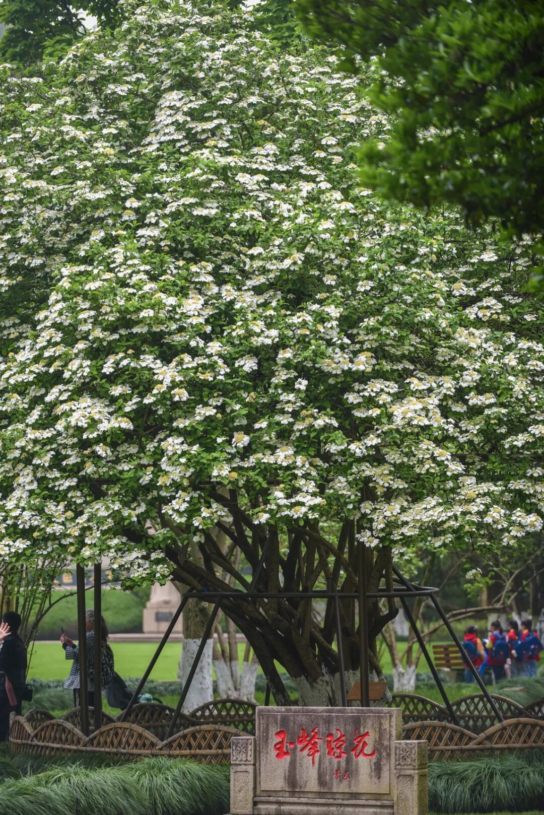 ������KKK_1787 (2).jpg