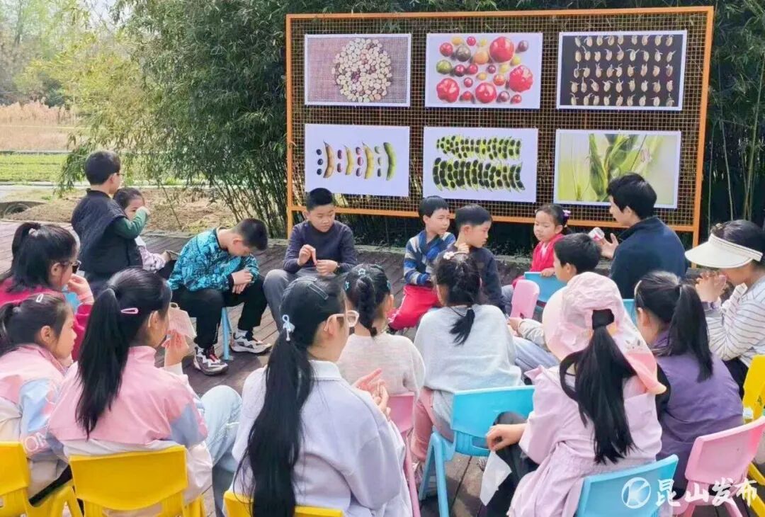 �÷ᵺ ��ѧ.jpg