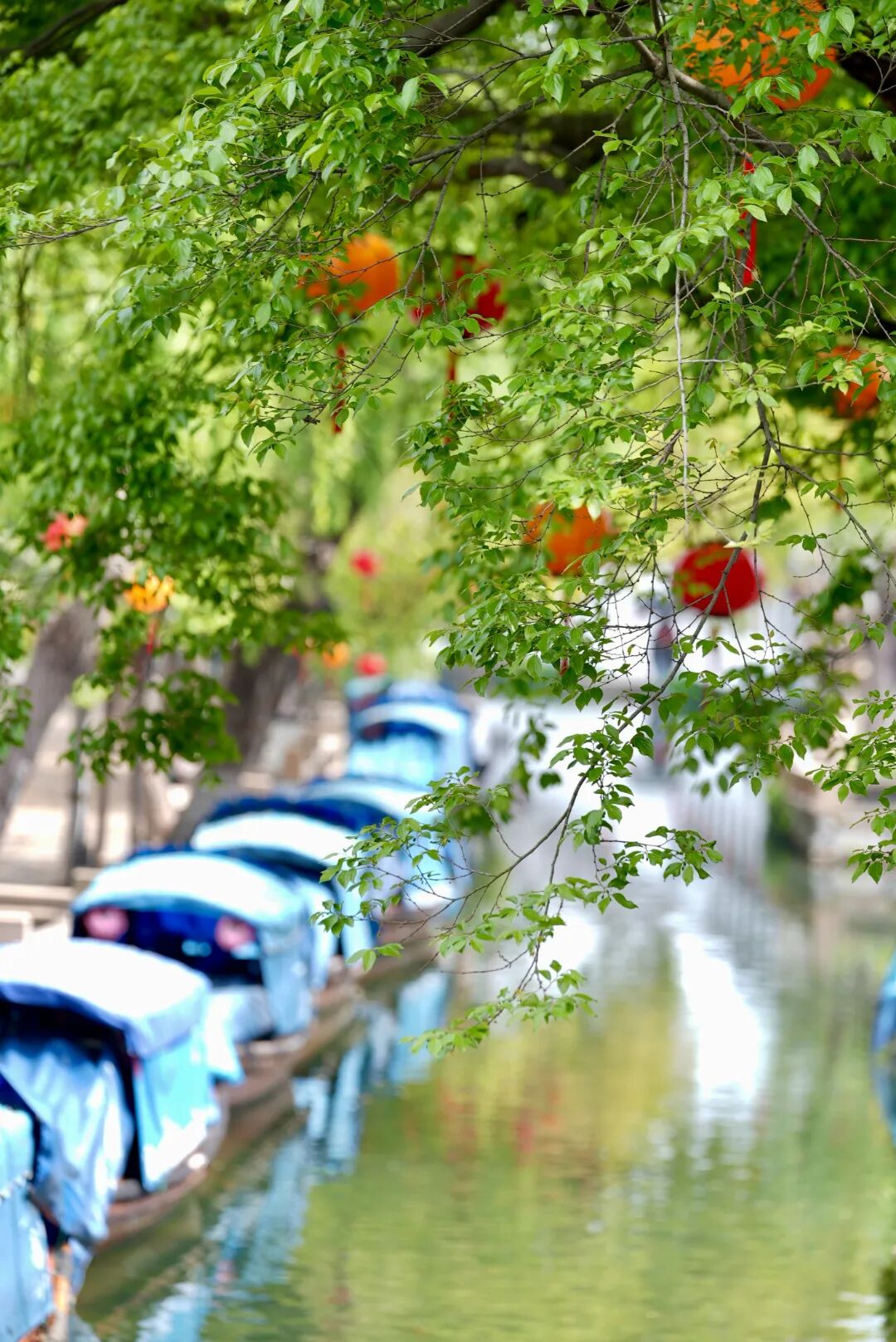 2026-04-10 100832.jpg