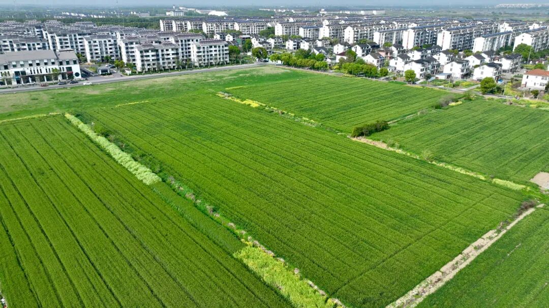 2026-04-10 151056.jpg