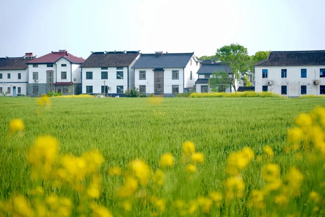 2026-04-10 141739.jpg