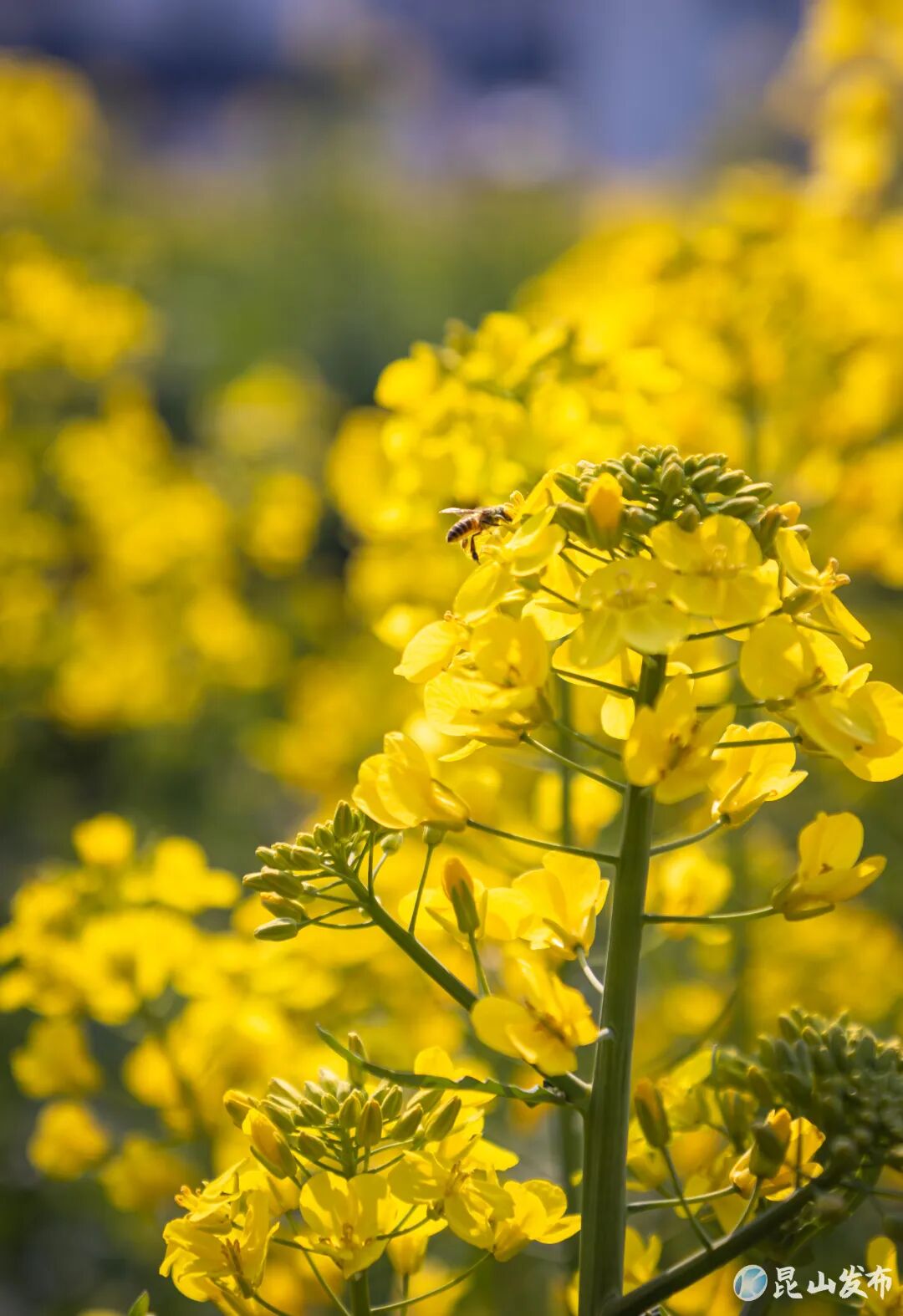 Ъ���� �Ͳ˻� ½�� (3) (2).jpg