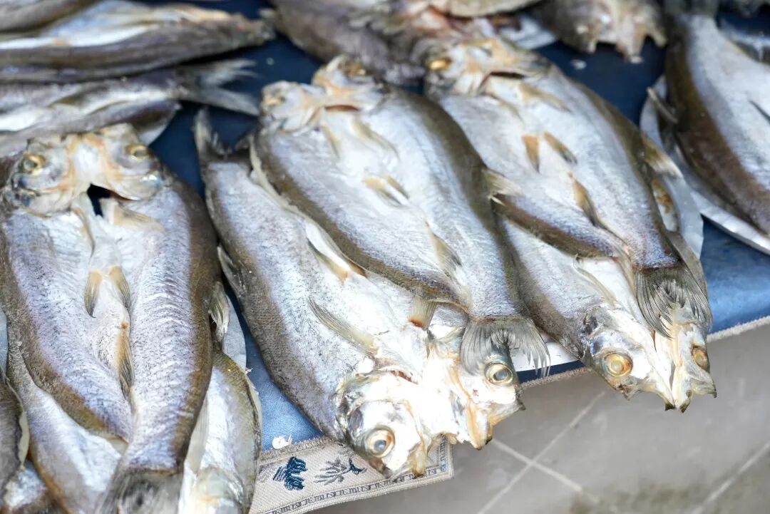 2026-04-15 131440.jpg