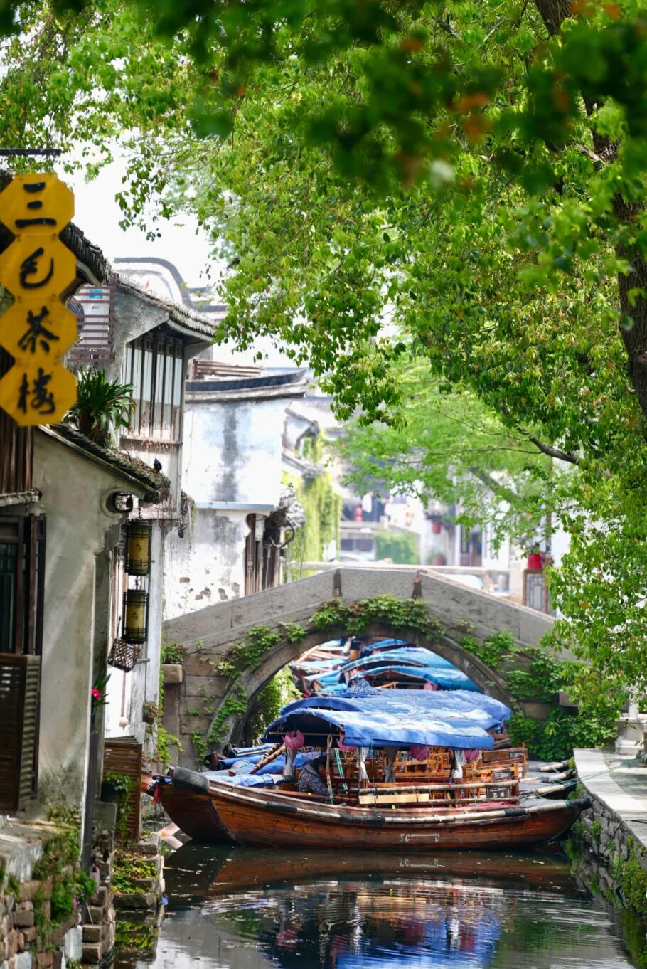 2026-04-10 101743.jpg