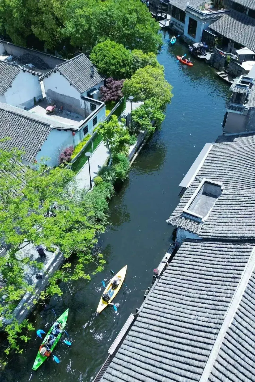 ͼƬ