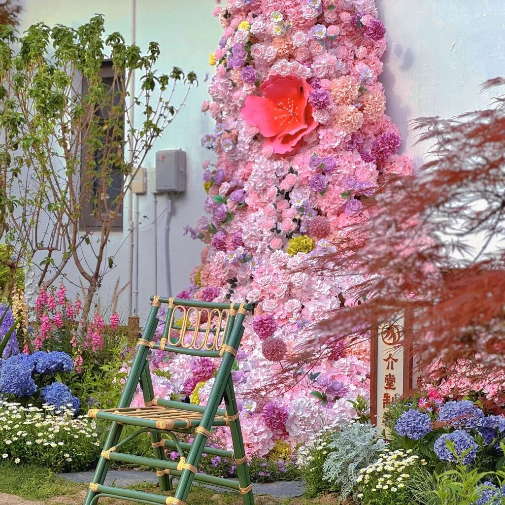 ͼƬ