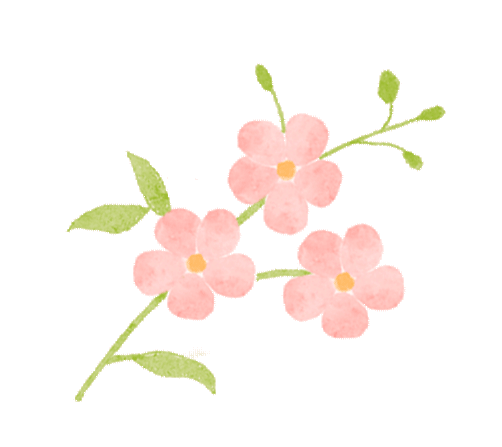 ͼƬ