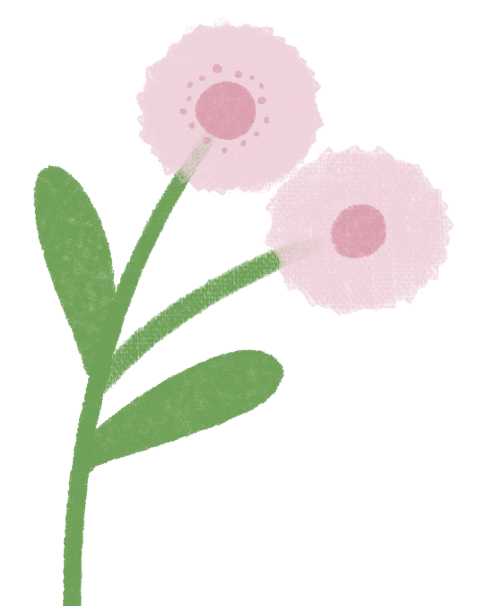 ͼƬ