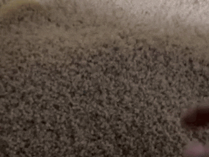 lv_0_20260512092854.gif