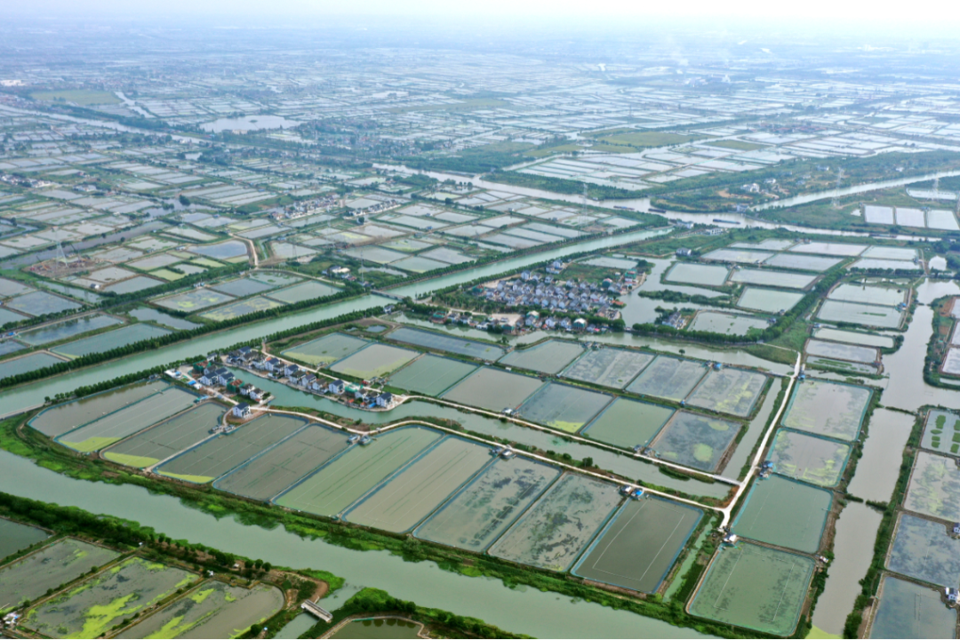 DJI_0877.JPG