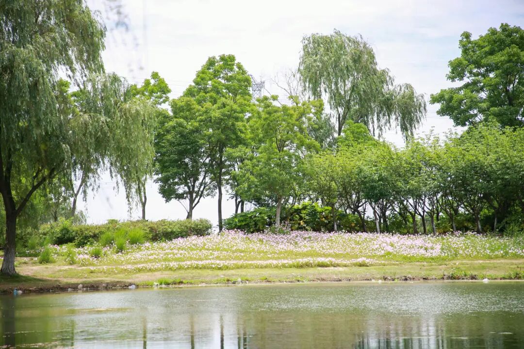 8ae2f6cb-9965-4ac3-b3f5-6298e1c6bd16.jpg