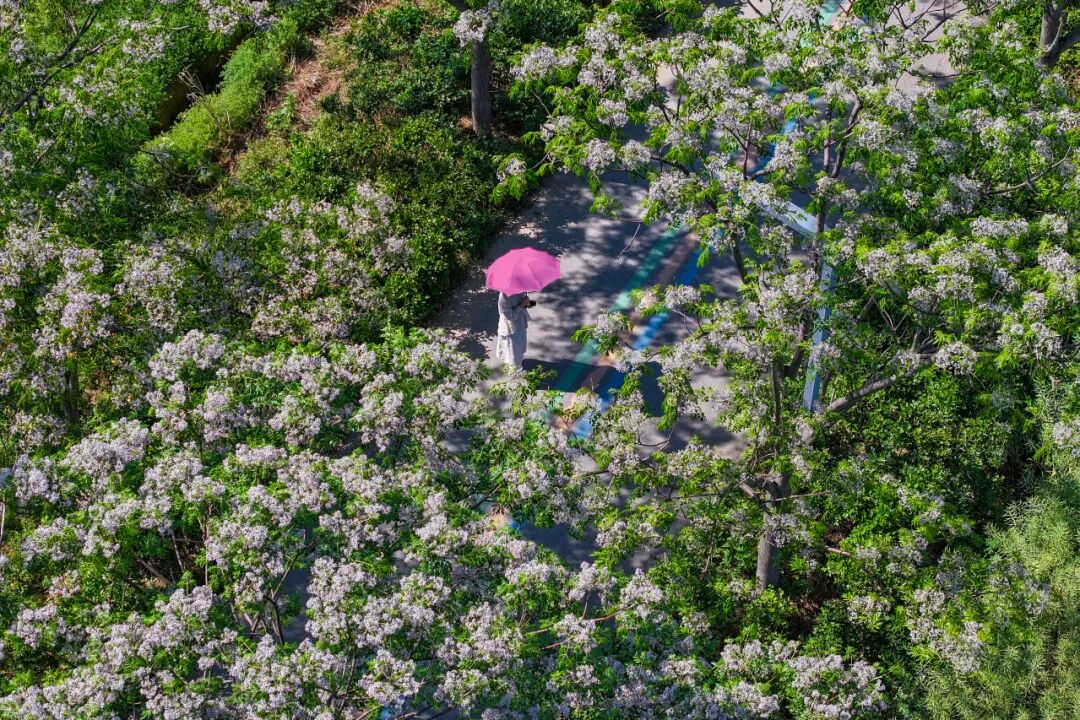 DJI_20260505200030_0267_D.jpg