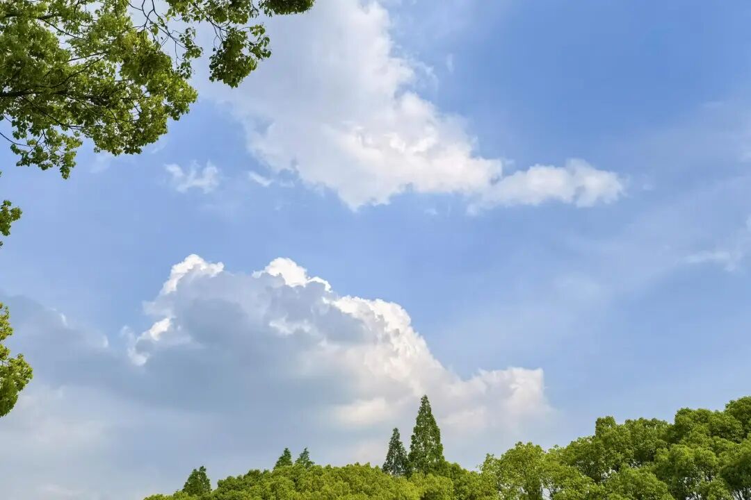 6083acaf-1220-4d43-9505-fed26b639e62.jpg