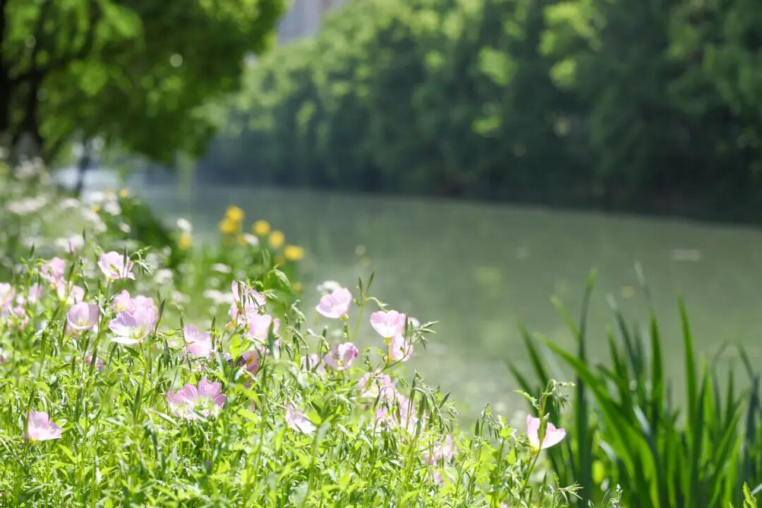 804a2eb7-d3fa-42a5-854b-499f1ea8deb4.jpg