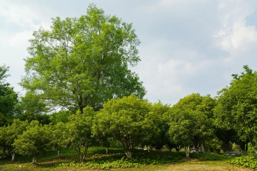 3217164a-e1aa-49bc-a9ef-625079db6396.jpg