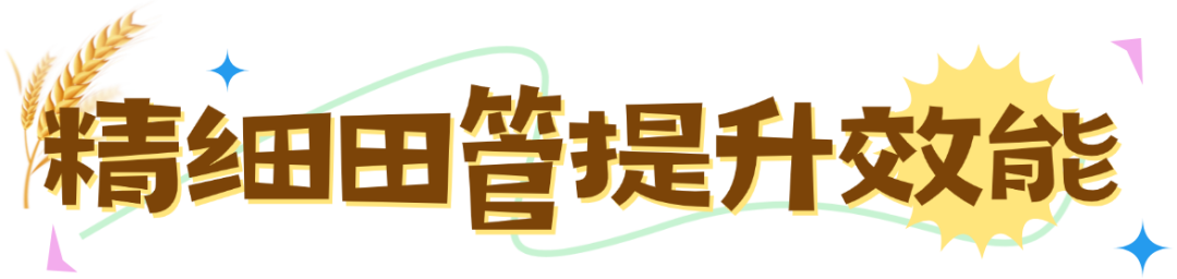 ����.png