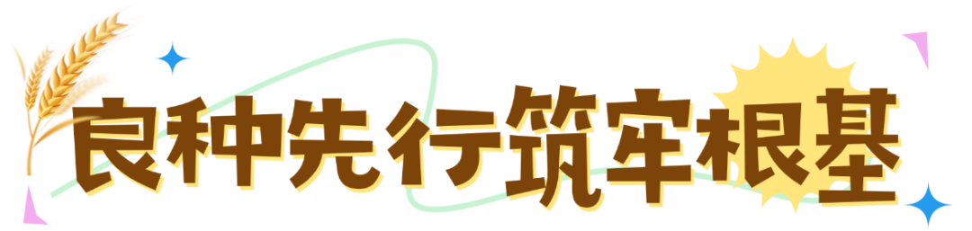 ����.png