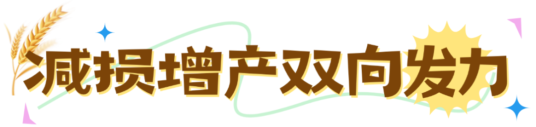 ����.png
