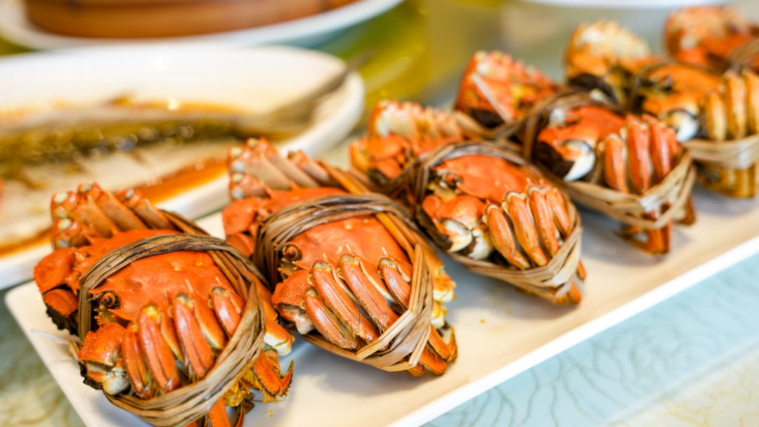 75f6d8e8-81ee-4768-ab9b-cb2c007372a7.png