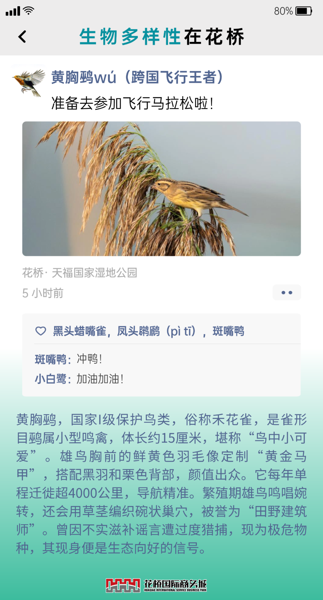 �嶨���-1.png