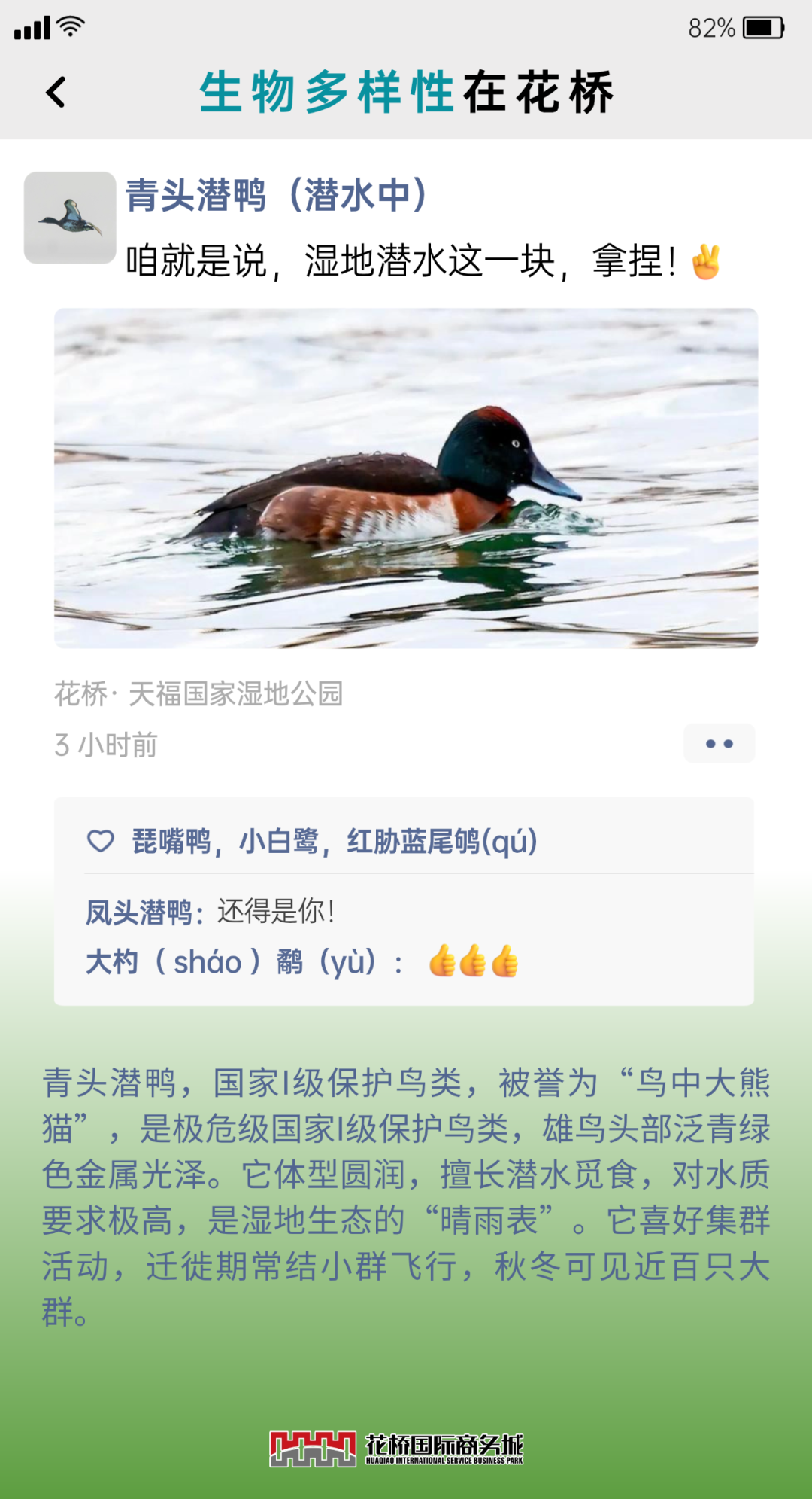 �嶨���-2.png