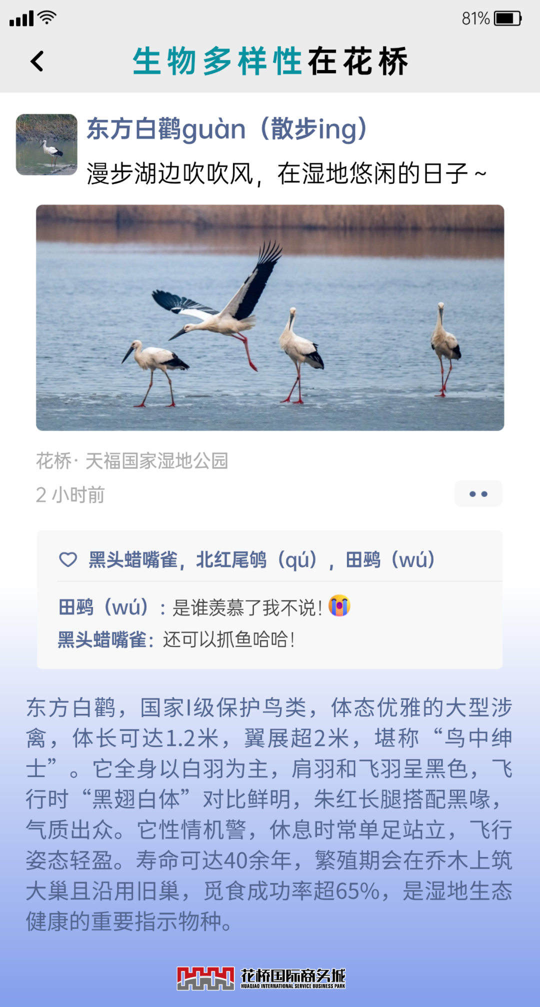 �嶨���-3.png