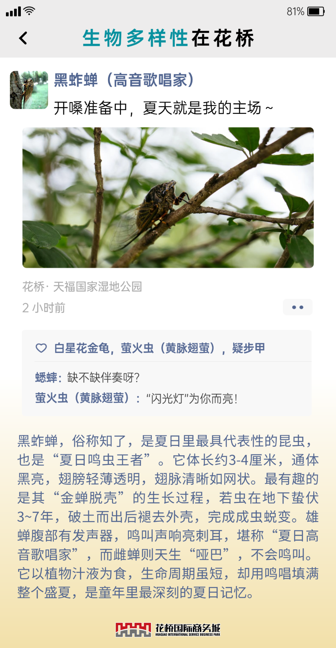�嶨���-4.png