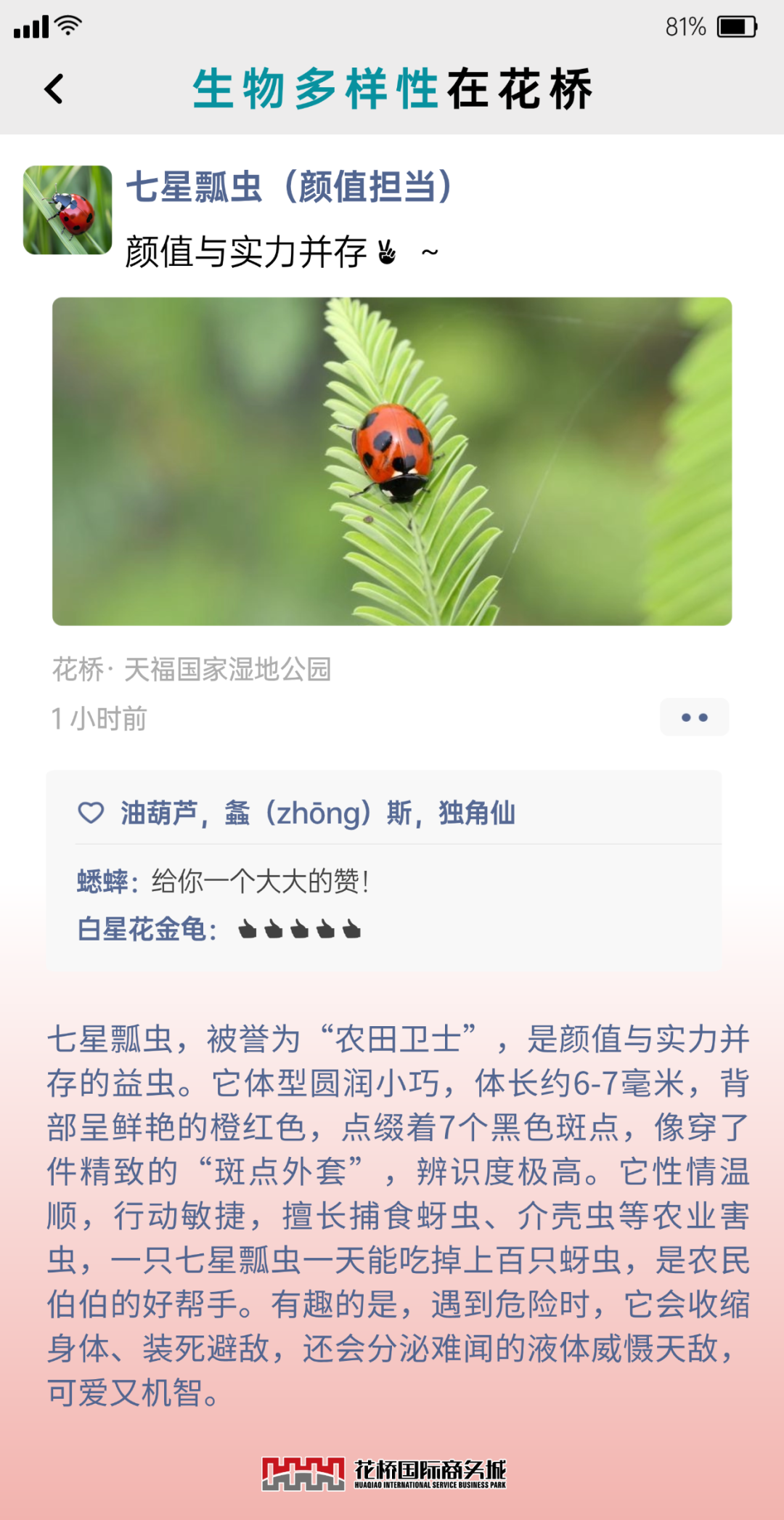 �嶨���-5.png