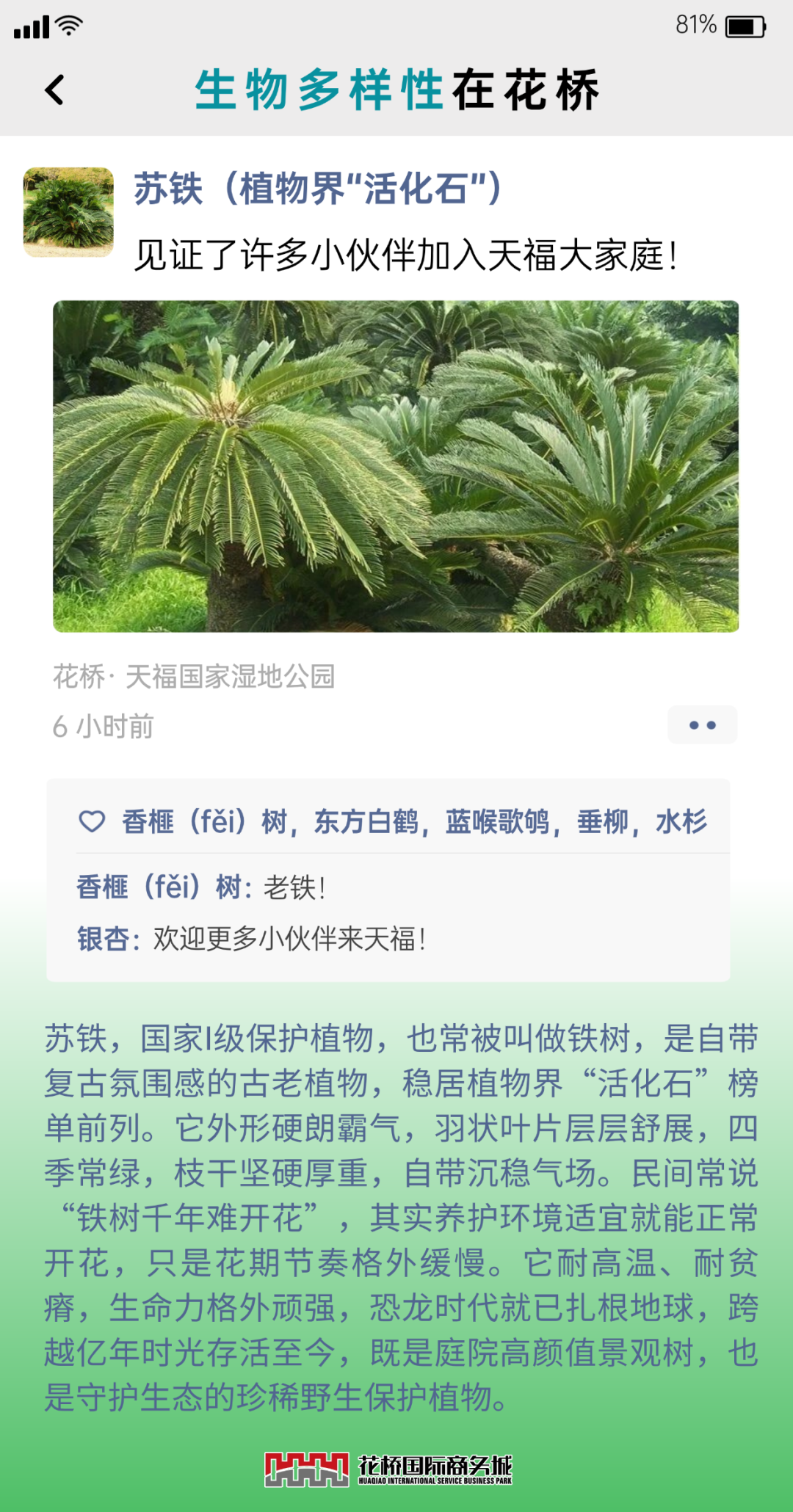 �嶨���-7.png