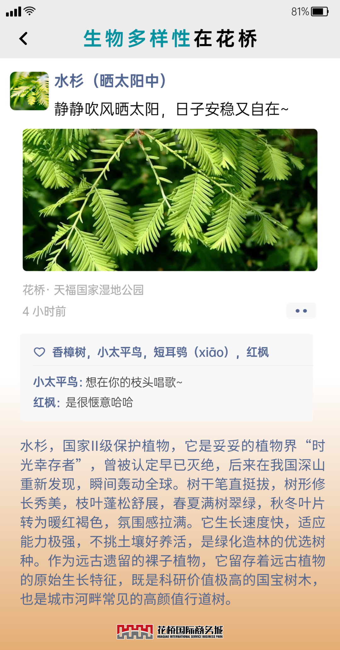 �嶨���-8.png