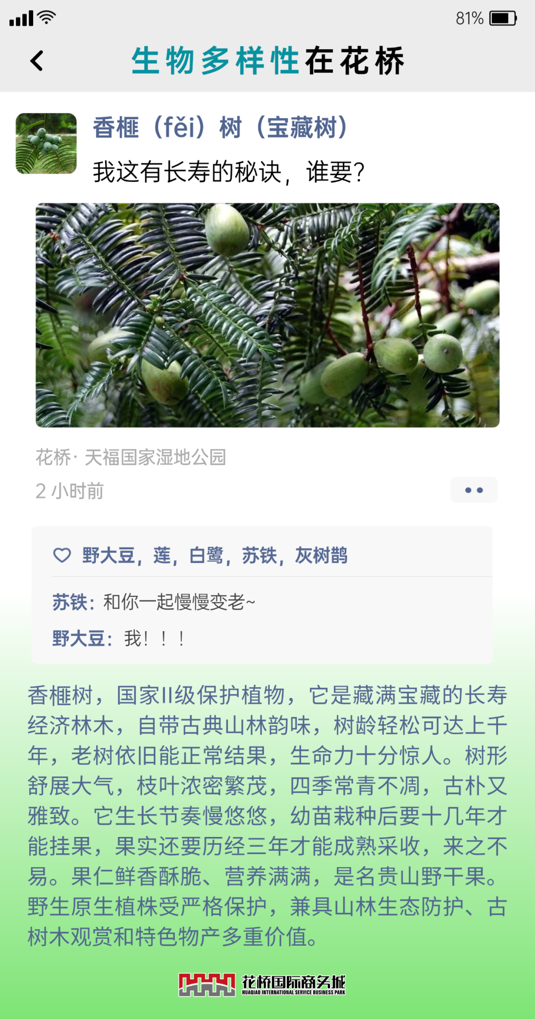 �嶨���-9.png