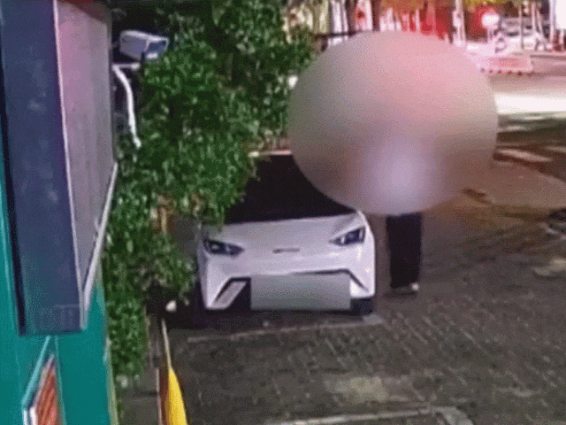 GIF.gif
