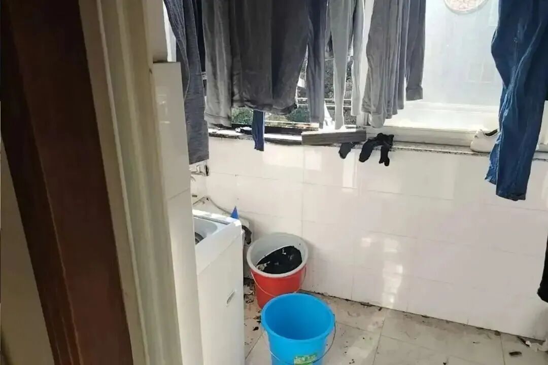 ͼƬ