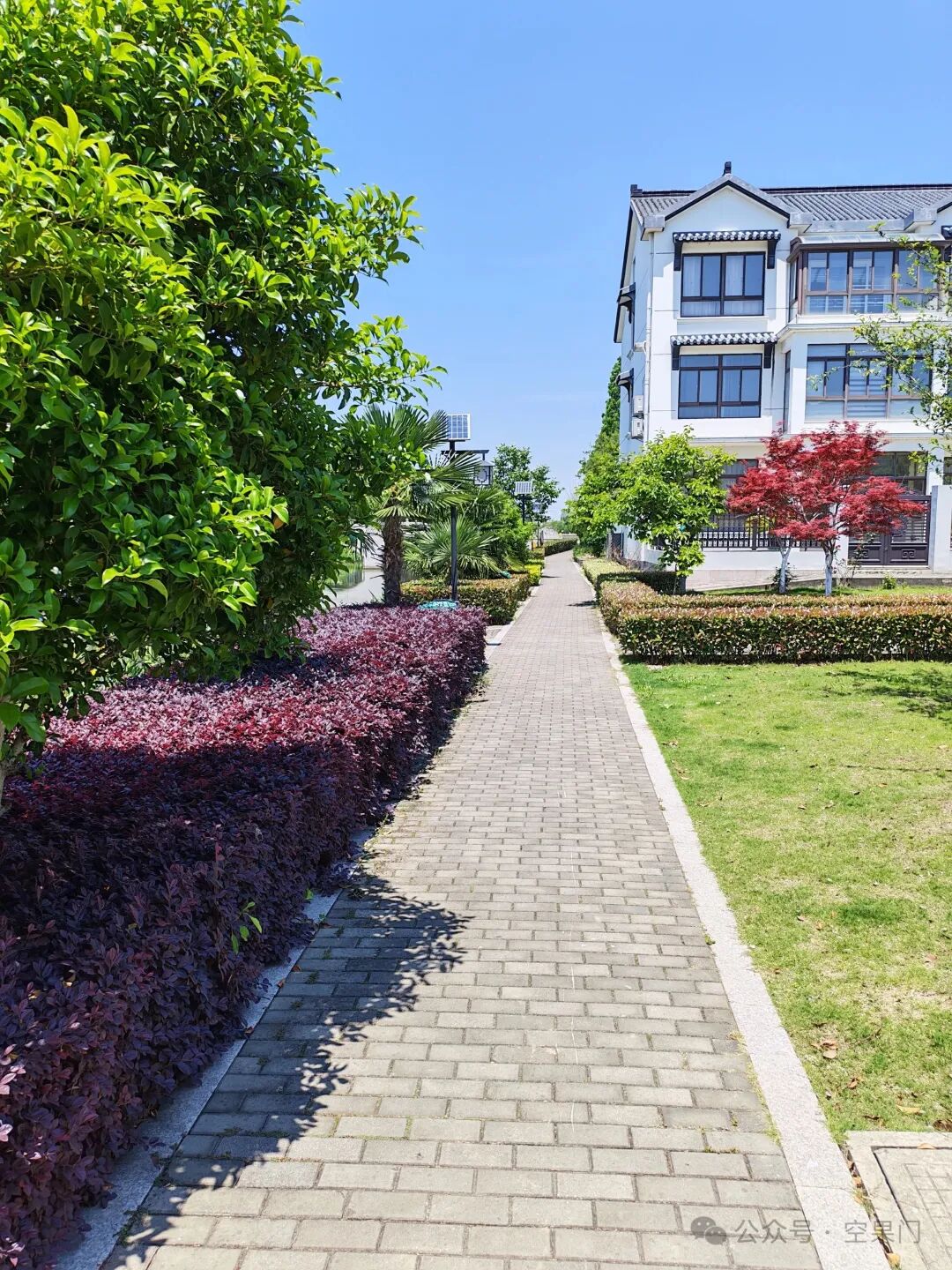 ͼƬ