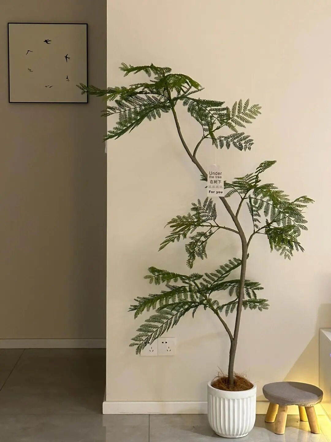 ͼƬ