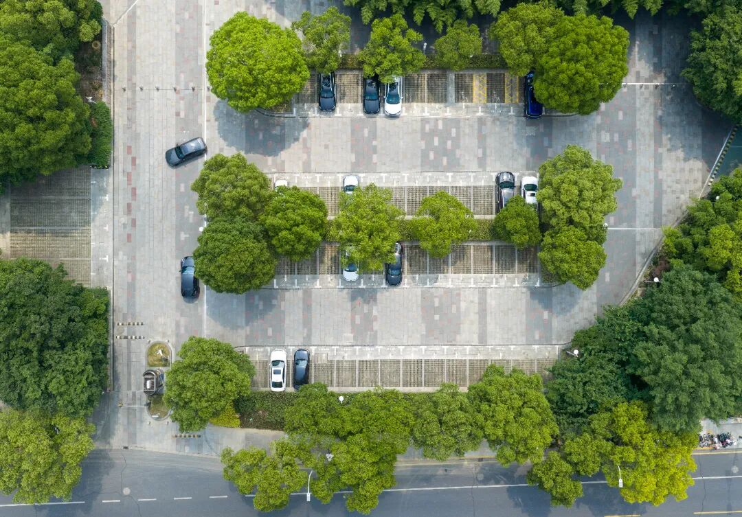DJI_20260602095653_0564_D.jpg