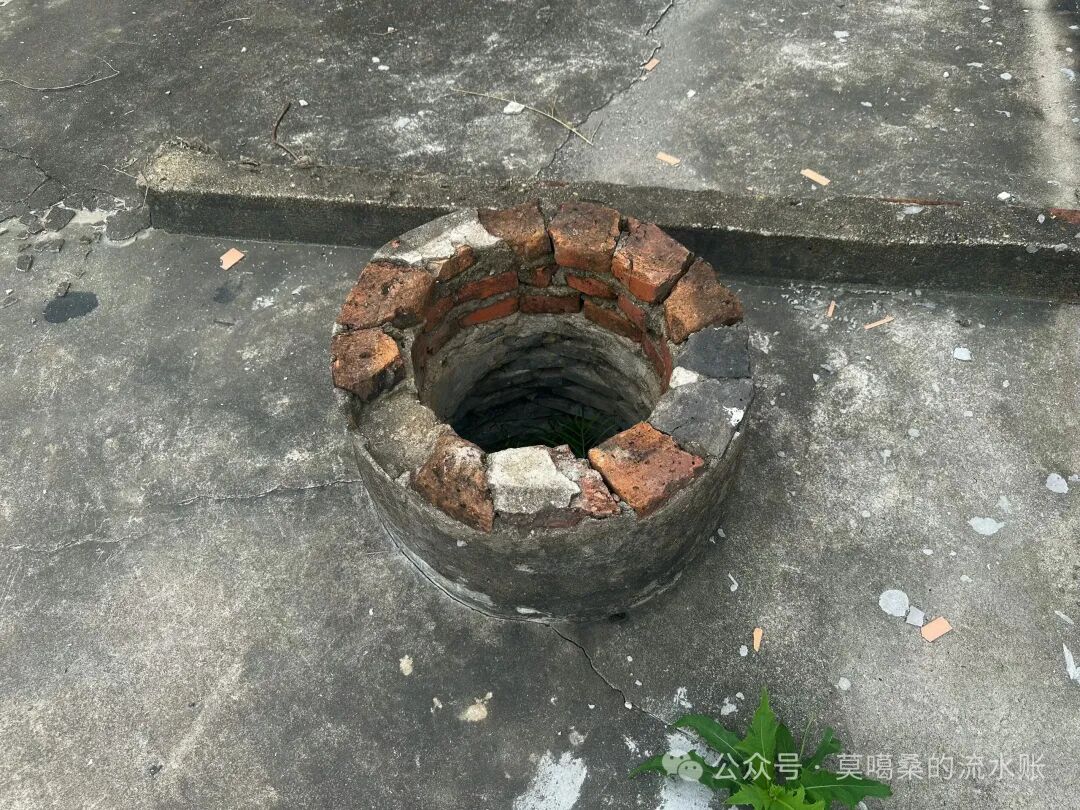 ͼƬ