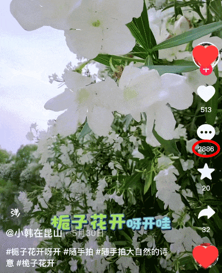 333.gif