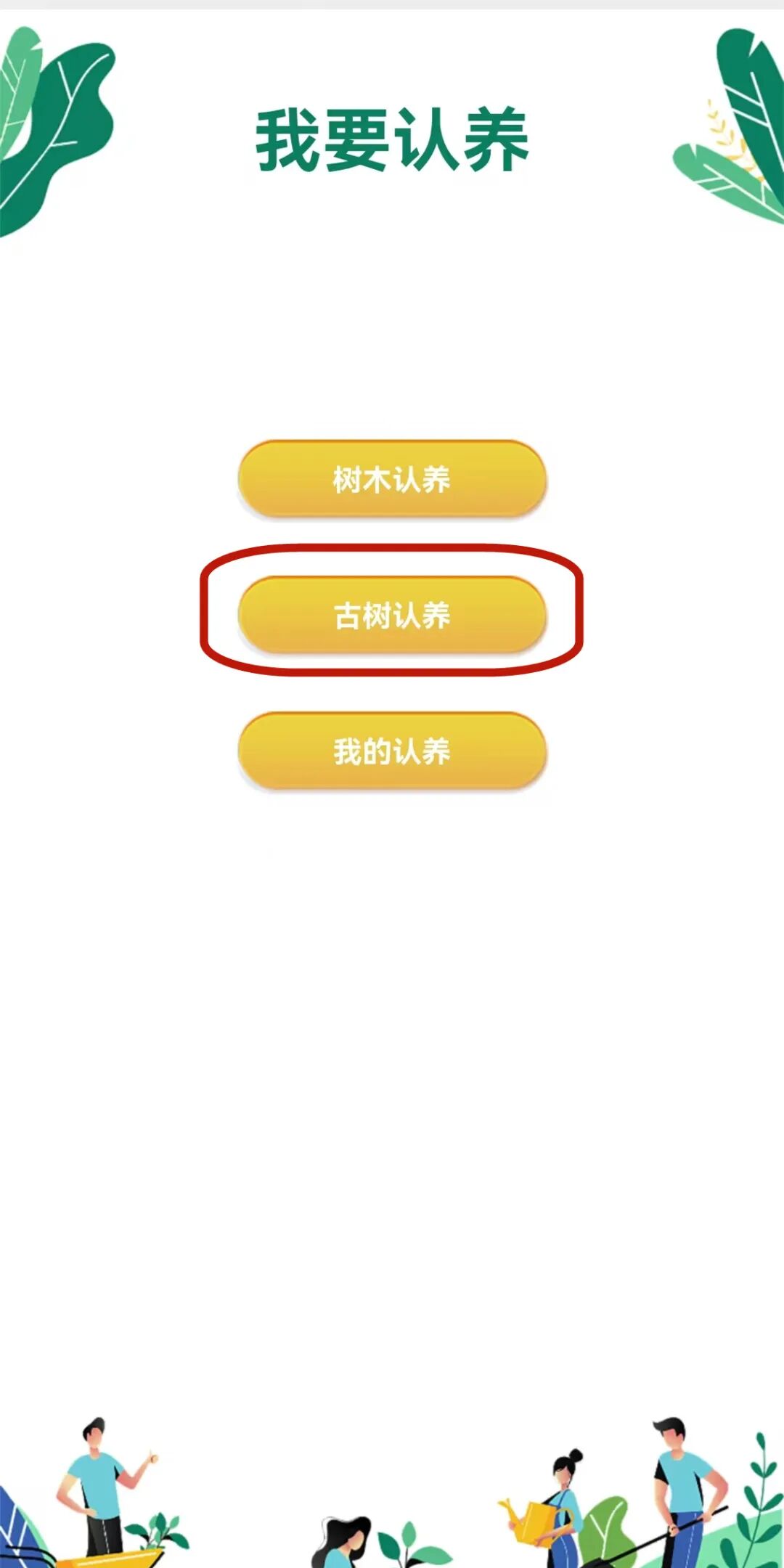 ͼƬ