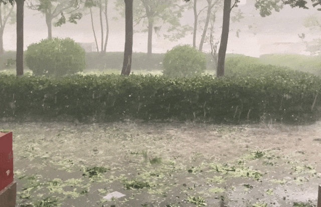 fa52e5bd2c459d3c0091eeeb9c8d9f0f.gif