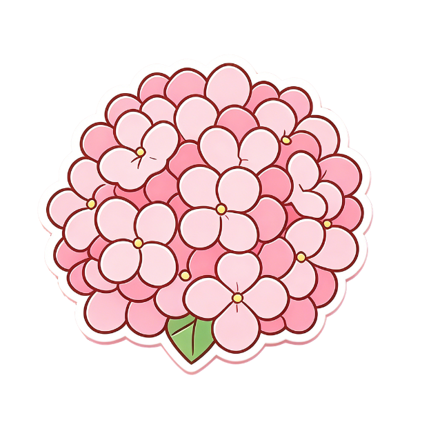 ͼƬ